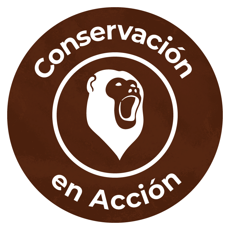 Conservacion-en-accion