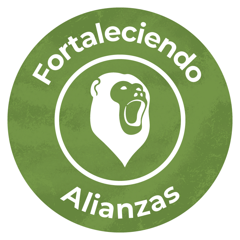 Fortaleciendo-Alianzas